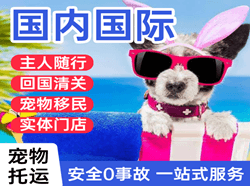 南昌机场货运国际宠物托运 【国